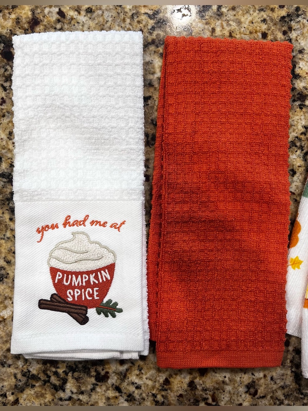 New Without Tags Autumn Kitchen Towel Set - Pumpkin Spice & Fall Feels - Picture 2 of 4